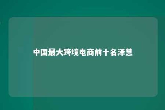 中国最大跨境电商前十名泽慧 全国最大跨境电商公司