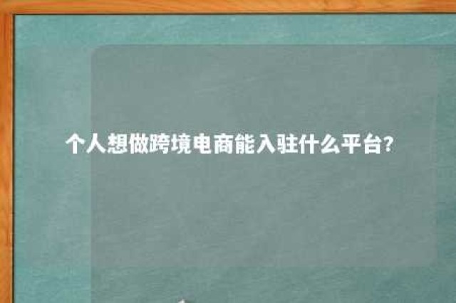 个人想做跨境电商能入驻什么平台? 个人做跨境电商能赚钱吗