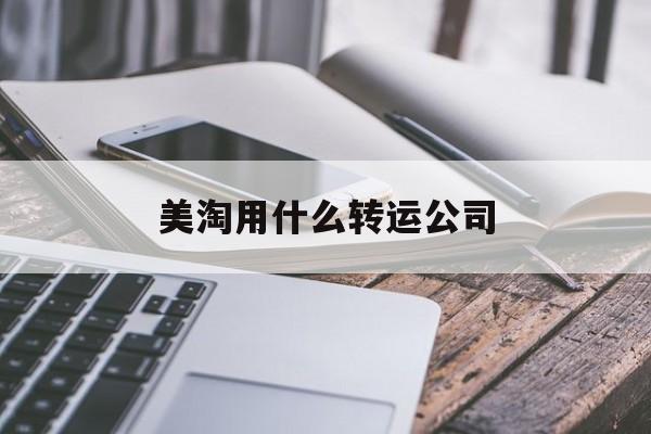 美淘用什么转运公司